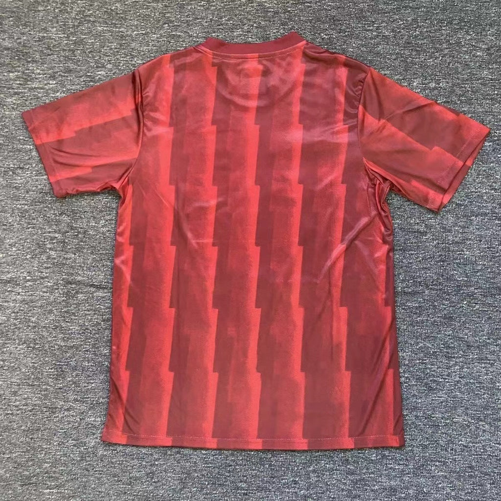 2024 Arsenal Special edition Football Shirt Fan version